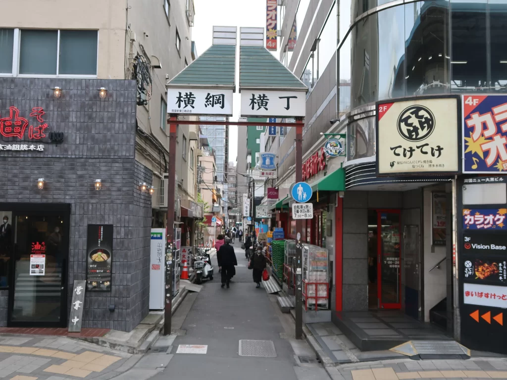 Yokozuna Yokocho alley Ryogoku Tokyo local nightlife street with izakaya